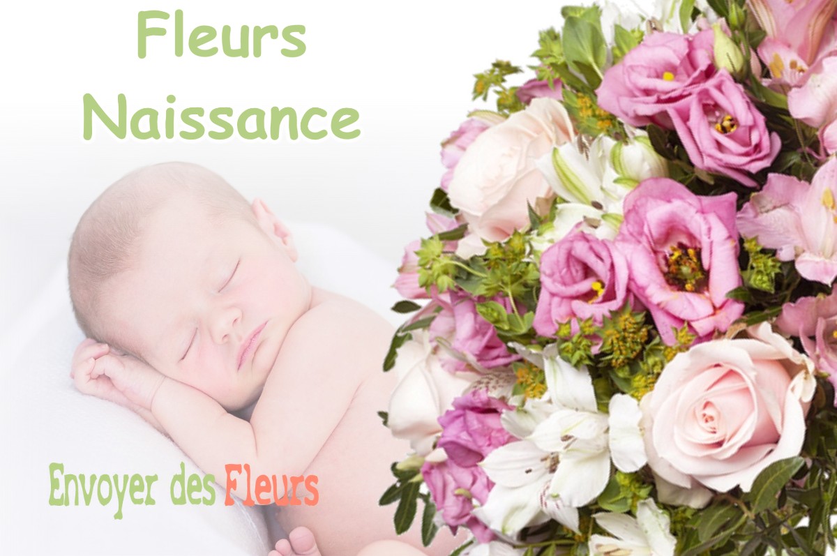 lIVRAISON FLEURS NAISSANCE à RIEUMAJOU