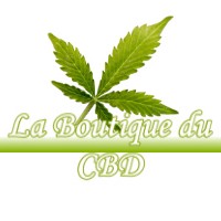 LA BOUTIQUE DU CBD RIEUMAJOU 